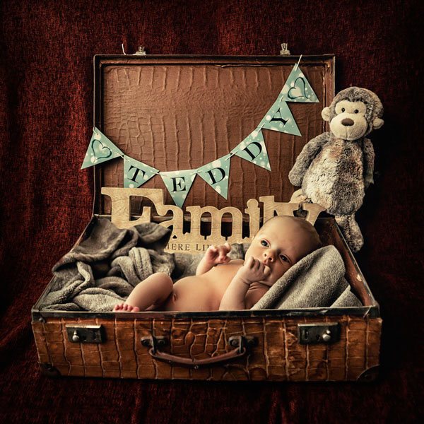 Photograph Vicki Lea Boulter Teddy on One Eyeland